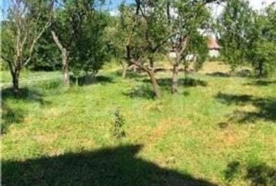 Casa de vanzare, cu 3 camere, 100 m2, teren 5 arii, zona Ciceu-Mihaesti - 4