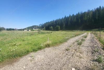 Teren de 5000 mp, în Gura Humorului - 9