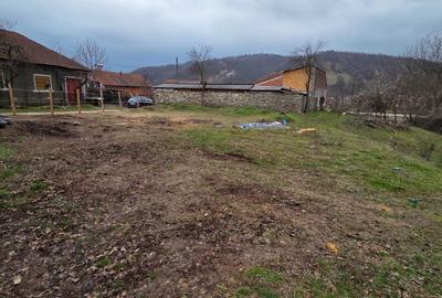 Spațiu comercial, în Eșelnița - 3