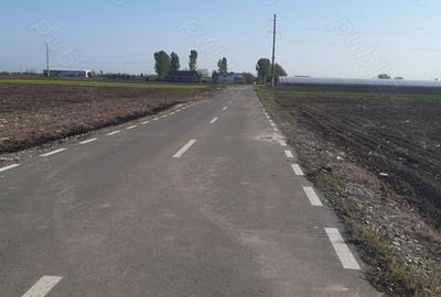 Teren de 4850 mp, în Dobreni - 4
