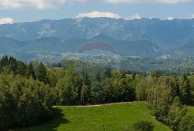 Teren Panoramic in Bran Vedere spre Bucegi & Piatra C... - 15