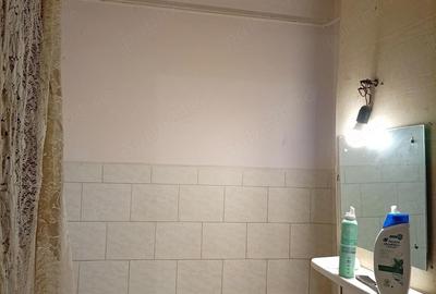 Apartament cu 3 camere decomandat în Aradul Nou - 3