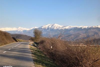 Spațiu comercial, în Central