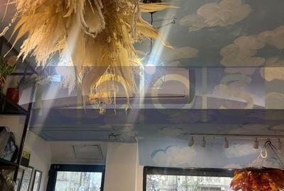 VANZARE SPATIU COMERCIAL | STRADAL | PACHE PROTOPOPESCU | 36MP | - 3