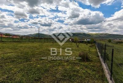 Teren Construcții intravilan de 2200 mp, în Crainimăt - 14