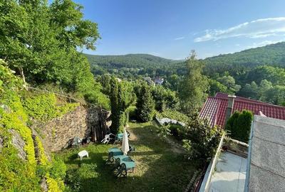 Vila deosebita, 2 corpuri P+M si P+1E, Margineni-Bacau - 9