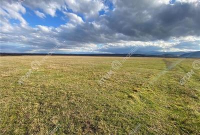 Parcela teren extravilan de 486 mp situat in Cristian - 4