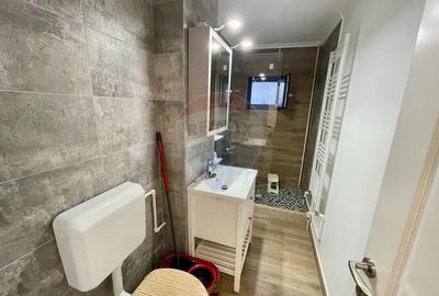 Apartament cu 3 camere decomandat în Gară - 16