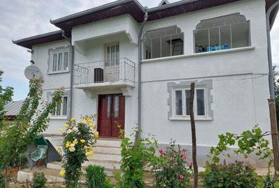 Vand casa mare cu livada, vie, gradina in Fratostita - 9