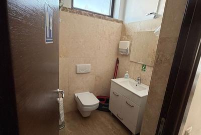 Spațiu comercial, de 400 mp, în Tei - 15