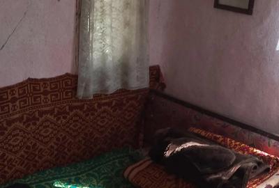 Casa la ?ara jud. Giurgiu, 4 camere, curte 4000 mp - 2