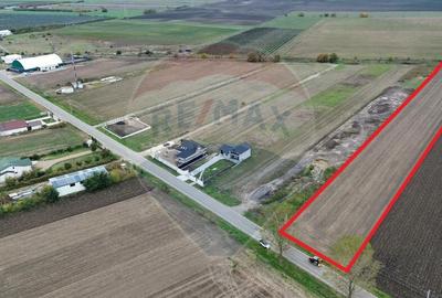 Teren intravilan 10869mp Mircestii Vechi / DJ 204E - 4