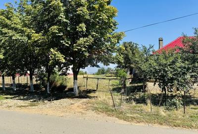 Teren Construcții intravilan de 2841 mp, în Apateu - 18