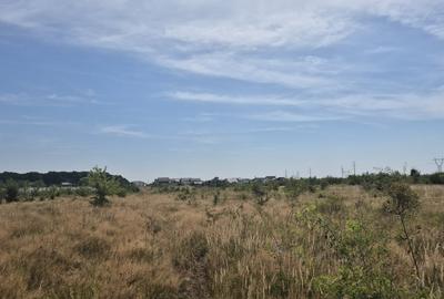 Teren intravilan de vanzare in Trivale - zona Magic | 500 mp - 1