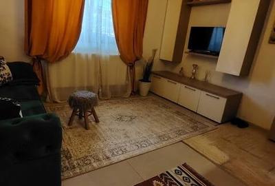 Apartament 2 C. parcare privata Palas Mall ,Centru, Palatul Culturii - 12