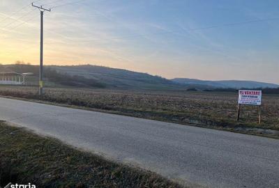 Teren de 2000 mp, în Crușeț - 3