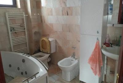 Casa S+P+1E+M loc Jilava - 4