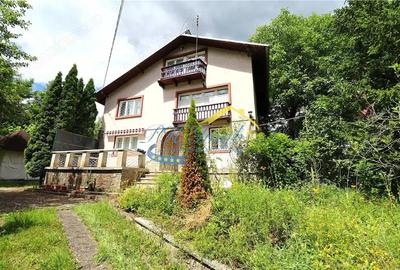 Casă cu Teren 3043 Mp în Provița de Sus - 10