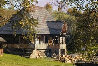 Hotel/Pensiune, de 317 mp, în Botiza - 2