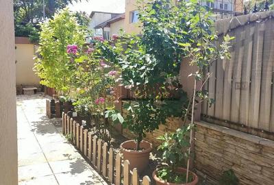 FERDINAND - Baicului casa individuala - 2