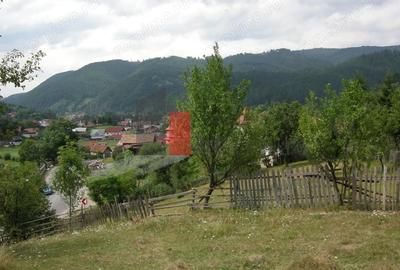 Teren de 3214 mp, în Rucăr - 5