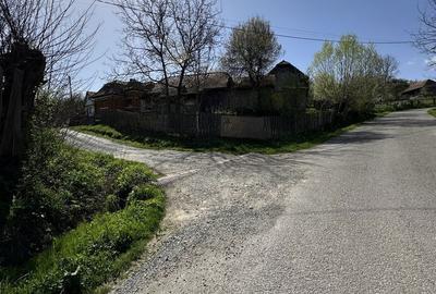 Casă cu 3 camere în Cacova Ierii - 3