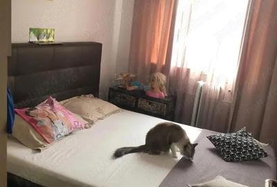 3 camere modificat in 2 camere Sagului - 1