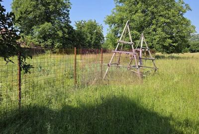 Teren Construcții intravilan de 2453 mp, în Brebu - 2