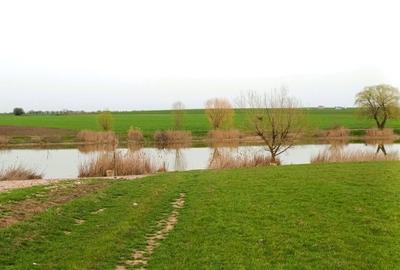 Teren Intravilan, Vedere la Lac, Rate la Dezvoltator - 3