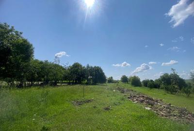 Spațiu comercial, în Lunca - 1