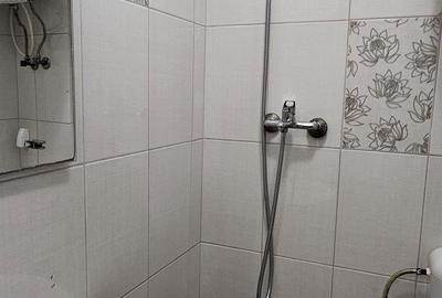 Garsonieră în Pecinișca - 5