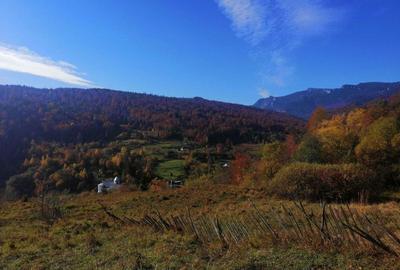 Spațiu comercial, în Central - 3