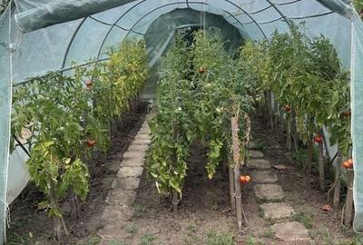 Casa | 9 camere | Garaj | Piscina | Teren 3.000 mp | Comision 0% Casa | 9 camere | Garaj | Piscina | Teren 3.000 mp | Comision 0% - 43