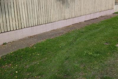 Casă cu 3 camere cu Teren 1877 Mp în Movila - 8