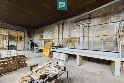 Fabrica de prelucrare a lemnului ?i palului - 36