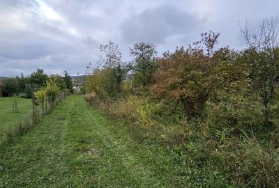 0 % comision, Lot format din 3 parcele de teren, zona Antonio Gaudi - 10