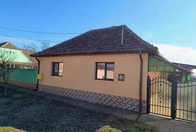 Casă cu 3 camere în Periam - 1