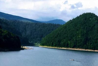 Teren intravilan si padure de brad 34.000 mp Varsag, Harghita - 5