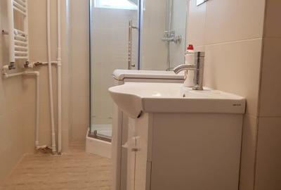 Inchiriere ap 2 cam decomandat, Panduri, Monitorul Oficial, 450 eur - 13