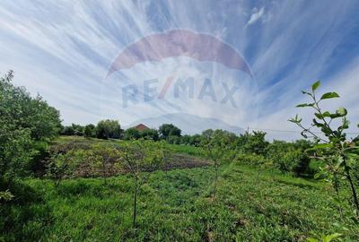 Casă cu 4 camere cu Teren 1440 Mp în Mișca - 6