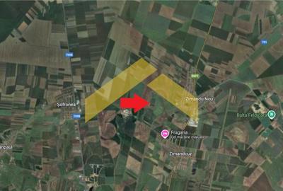Teren de 67827 mp, în Zimandu Nou - 3