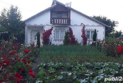 Casă în Tâncăbești - 7