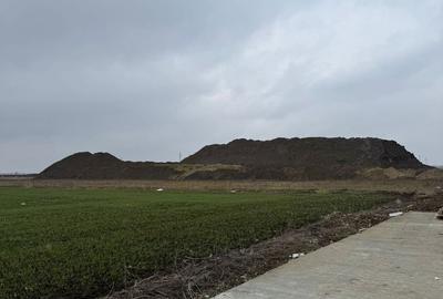 Teren Construcții intravilan de 10000 mp, în Șagului - 2