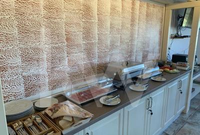 Vila cu 8 camere de vanzare - Arena Platos Paltinis - 21