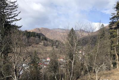 Teren de 5050 mp, în Voineasa - 10