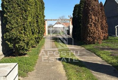 Teren de 996 mp, în Diniaș - 1