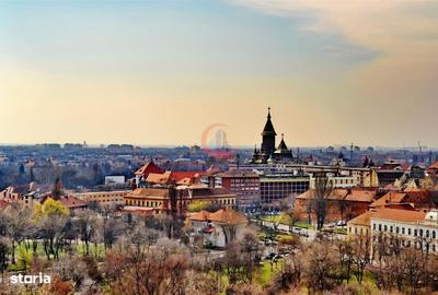 Spațiu comercial, în Dumbrăvița