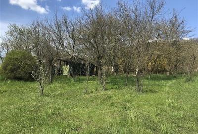Teren intravilan, PUZ, gaz, apa, Remetea- Tg. Mures - 10