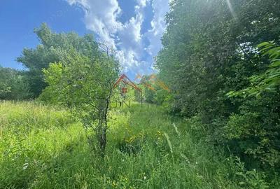 Teren 2037 mp, 17 ml deschidere, utilitati in zona, vedere panoramica - 4