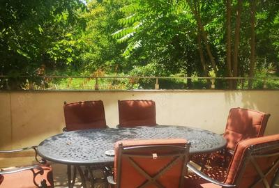 Ap de lux, central, 2 camere + terasa, 100 m2 utili - 8